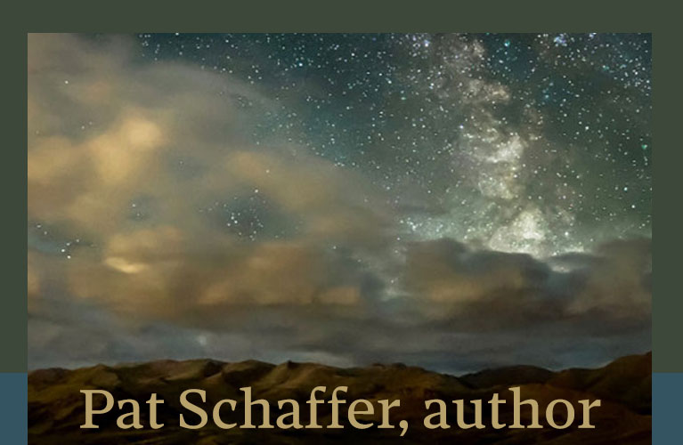 Pat Schaffer author